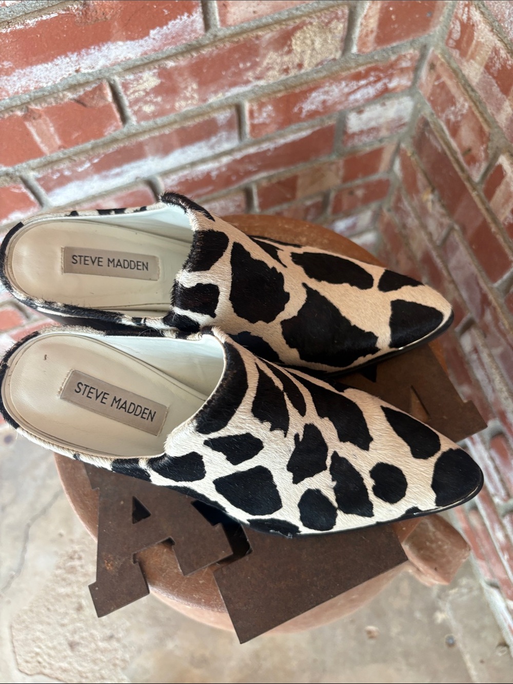 Steve MaddenCow Print Ankle Boots - Black & Cream Women’s Booties - Picture 3 of 7